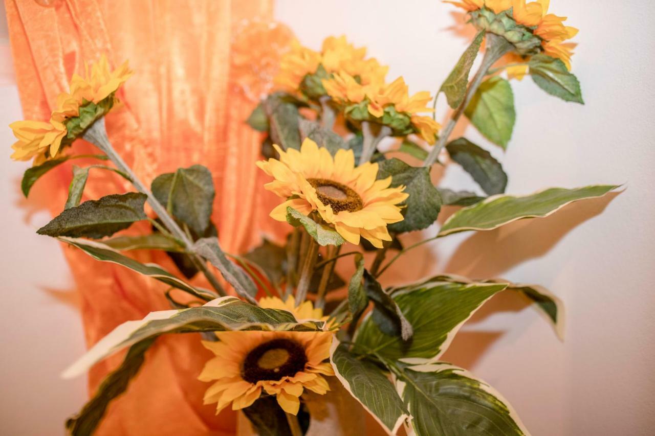 Patricia Apartman Rab Town